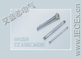 供应艾意希防爆荧光灯